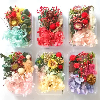 1box Spalvinga Džiovintų gėlių galvos Augalai Epoksidinės Dervos Pakabukas Karoliai, Papuošalai, Žvakės Priėmimo Amatų 