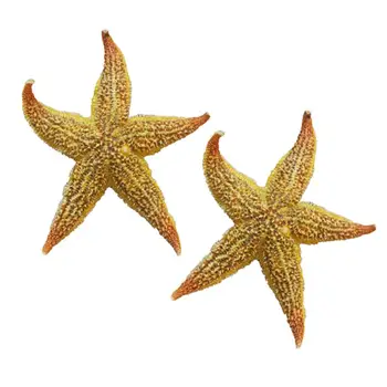 25pcs gamtos žvaigždė shell beach amatų gamtos žvaigždė 