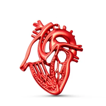Anatominiai Širdies Sagė Metalo Atvartas Raudona Spalva Pin Anatomija Juvelyriniai Dirbiniai Didmeninė Gydytojas, Slaugytoja, Medicinos Studentas, Vėpla Biologijos Meilės Dovana