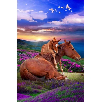 Arkliai ant pievos gyvūnų 