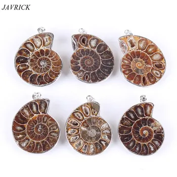 Gamtos Ammonite Fosilijos Pakabukas Papuošalai Sidabro Tonas Ammonite Iškasenos Akmens Suvynioti Pakabukas Bižuterijos Karoliai