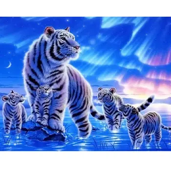 Gyvūnų Tigras Žvaigždėtą Dangų, Dažų Skaičių Rinkinys Tapybos ant Drobės Meno Siena