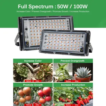 LED Grow Light AC220V 50W 100W LED Full spectrum Fito Lempos Šiltnamio efektą sukeliančių Hydroponic Augalų Augimo Apšvietimas