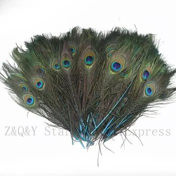 20 natūralių povo plunksnų dažytos ežero mėlyna amatų apdailos 25-30 cm (10-12 cm) 