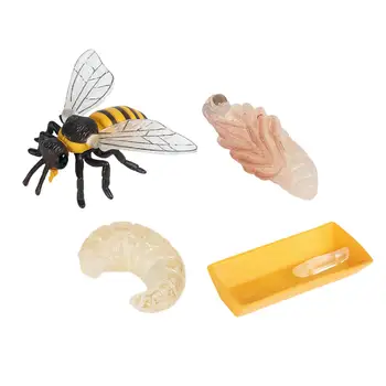 4 Gabalas Gyvenimo Ciklo Duomenys, Vabzdžių, Plastikinių Bičių Žaislas Skaičius - Autentiškas Rankų Dažytos Modelis