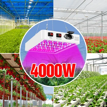 5000W Augalų Šviesos diodų (LED Augti Visą Spektrą Fito Lempa 220V Fito Lempos 4000W Vandeniui Daigų Gėlių daigai Auga Žiburiai 2835