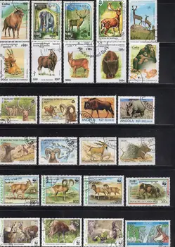 50Pcs/Daug Laukinių Gyvūnų Antspaudas Tema Visi Skirtingi Iš įvairių Šalių, NE Kartoti Pašto ženklai su Pašto Ženklu Filatelijos