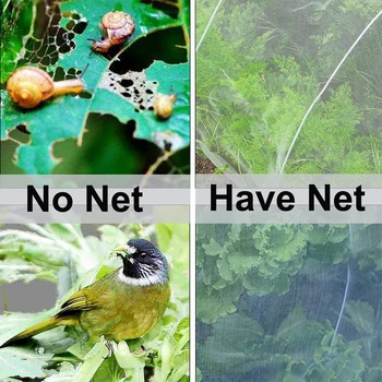 Anti-Insect Gazas Augalų Žiedų Apsaugos Tinklas, Paukščių, Vabzdžių Kenkėjų Prevencijos Ir Kontrolės Akių Sodo Daržovių Vabzdžių Ju Dangtis