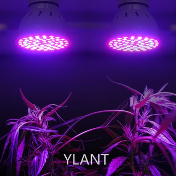 Fito Led Grow Lempa Hydroponic Augimo Šviesos diodų (LED Grow Lempa viso Spektro LED Augalų Augimo UV Lempa 220V Gėlių Daigai Auga Lauke
