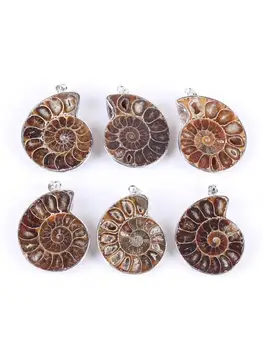 Gamtos Ammonite Fosilijos Pakabukas Papuošalai Sidabro Tonas Ammonite Iškasenos Akmens Suvynioti Pakabukas Bižuterijos Karoliai