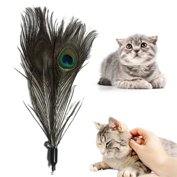 Katė Prekių Kačių Žaislai Plunksnų Funny Cat Stick Pakeitimo Galvos Katė Prekių Bite-atsparus Kačių Reikmenys Priedai