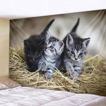 Trys Mieli Kačiukai Gobelenas Sienos Kabo Gyvenimo Kambario, Miegamasis Dekoro Medžiaga
