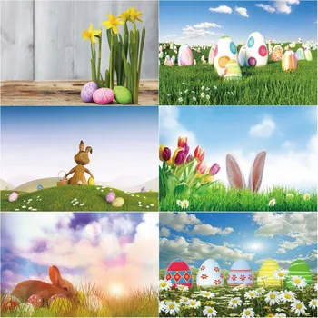 Vinilo Medienos Backdrops Kūdikių Animacinių filmų linksmų Velykų Dieną Triušis Gėlės Kiaušiniai Žolės Plakato, Fotografijos Fone fotostudija