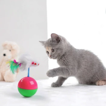1Pcs Naminių Kačių Žaislai Katė Mėgstamą kailio Pelės Masažuoklis Kačiukas Kačių Žaislai, Plastikiniai Play Kamuoliukus skirtus Gaudyti Kačių Reikmenys
