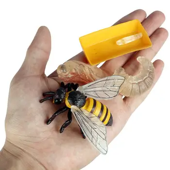 4 Gabalas Gyvenimo Ciklo Duomenys, Vabzdžių, Plastikinių Bičių Žaislas Skaičius - Autentiškas Rankų Dažytos Modelis