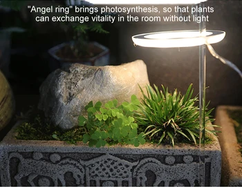 Angel Žiedas LED Grow Light Visą Spektrą Fito Augti Lempa USB Phytolamp Augalų 5V Lempa Augalų Augimui Apšvietimas, dekoratyviniai augalai