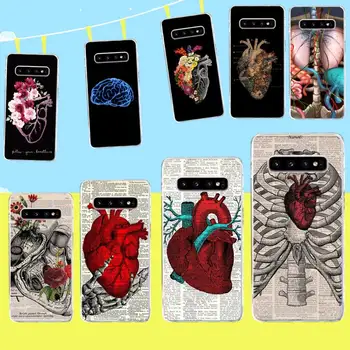 Karšta Širdis, Gamtos Žmogaus Anatomijos Gydytojas, Telefono dėklas, skirtas Samsung S9 plus S5 S6 S7 krašto S8 S10 plius