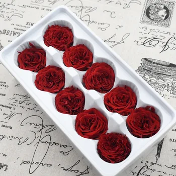 10vnt/BOX Konservuoti Šviežių Gėlių Austin Rožė 