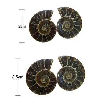 1Pair Padalinta Ammonite Iškastinio Pavyzdys Shell Gydomųjų Gamtinių Apdailai Mineralų Namų Akmenys, Apdailos Madagaskaras I5E7