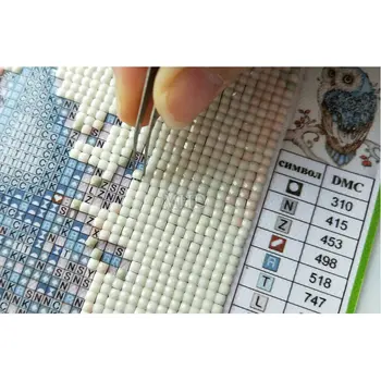 5D diamond tapybos kvadratiniu / apvalus deimantas siuvinėjimo Protea gėlių modelio diamond 