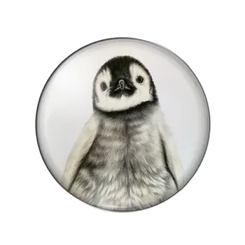 Animacinių filmų Puikus Antarktidos pingvinas meno tapybos 12mm/18mm/20mm/25mm Turas foto demo stiklo cabochon butas atgal Padaryti išvadas