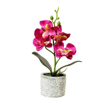 Dirbtinių Gėlių, Drugelių Orchidėja Nekilnojamojo Touch Phalaenopsis Gėlių Cemento Puodą Bonsai Vestuvių Namų Biuro Apdailos