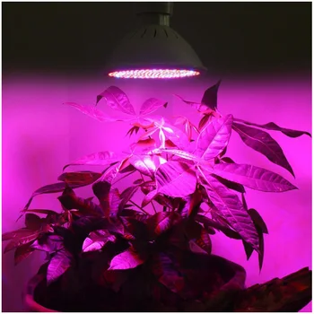 E27 200pcs LED Augalų Auga Lempos Visą Spektrą Palapinę Lauke Šviesos Patalpų Apšvietimas Hydroponic Augimo Lemputė Gėlių Daigų Sultingos DARŽOVĖS