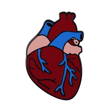 Gėlės Anatominiai Širdies Emalio Pin Medicinos Organų Anatomija Sagė Sveikatos Sąmoningumo Ženklelis Romantic Goth Keista, menas, Dekoras