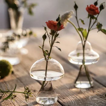 Ins Stiliaus Japonija Šviežių Mini Grybų Stiklo Vaza Apdailos Hydroponic Permatomas Valgomojo Stalas, Maža Vaza Gėlių Vaza Terariumai