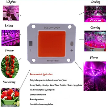 10VNT COB LED Grow light,100w 32V 40x46mm viso spektro led lustas efektą sukeliančių augalų auga