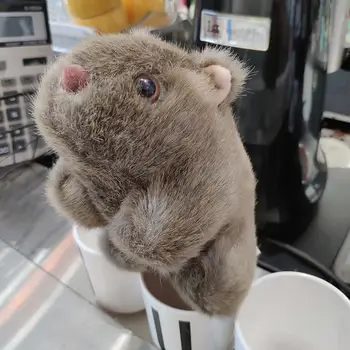 1pc 18cm Modeliavimas Pliušinis Wombat kiaulyčių Cavia Porcellus Žaislas Įdaryti Laukinių Gyvūnų Lėlės, Žaislai, Kūdikių, Vaikų, Dovana, Namų Puošybai