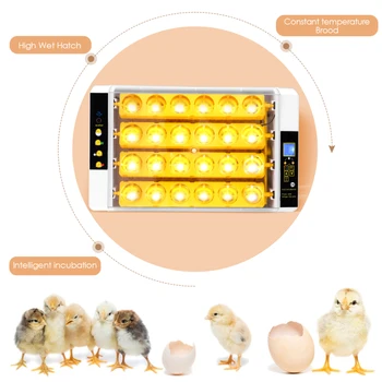 24 Kiaušinių Visiškai Automatinis Kiaušinių Inkubatorius Tekinimo Ir Kiaušinius, Led Ekranas, 24s Kiaušinių Ančių Kiaušinių Paukščių Kiaušinių Turkija Kiaušiniai Hatcher