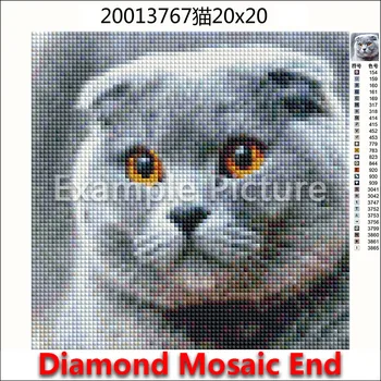 5D kvadratiniu Diamond tapybos, siuvinėjimo kryželiu fox padan erelis chameleonas pelėda swan Koala Turas Gręžimo Piešimo, mozaikos L136