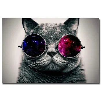 Gyvūnų katė su akiniais Galaxy katė su akiniais, juokinga meno plakatas spausdinimo nuotrauką kambarį namo apdailos drobė, tapyba