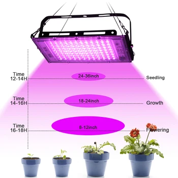 LED Grow Light 50W 220V LED Full spectrum Fito Lempa Augalų Hydroponics Šiltnamio efektą sukeliančių Sėklos Namų Augalų Augimo Phytolamp