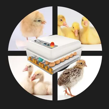Mini Brooder Mažas Vištienos Paukščių Kiaušinių Inkubatorius Peryklose Paukščių Peryklose Mašina, Kiaušiniai, 16 Perinti skirtų Putpelių Papūga Antis Karvelis