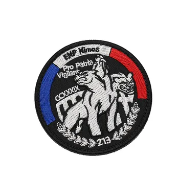 Prancūzijos Armijos prancūzijos Vėliava Gaisro RAID Ženklelį Su Emblema ir Užrašas Taktinis Kablio Kilpa, Siuvinėjimas Moralę Siuvinėjimo Pleistras Aplikacijos