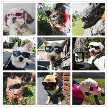 Šunų reikmenys, augintinių, akiniai, neperšlampami nuo saulės šuo, katė akiniai tinka gyvūnų prancūzų buldogų pet supplies