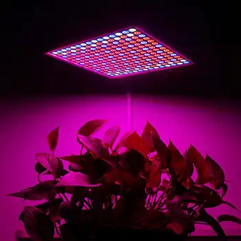 2000W viso Spektro LED Grow Light Fito Žibintus, Gėlių, Augalų, Daržovių Hydroponics Sistemos Augti/Bloom Palapinė