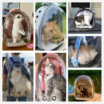 Katė Maišeliai Kvėpuojantis Pet Vežėjų Mažų Šunų Kačių Kuprinė Kelionės Kosmoso Kapsulė Narve Naminių Gyvūnų Transportavimo Krepšys Vykdyti Katės