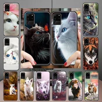 Katė, Šuo Gražus, Mielas, Telefono dėklas, Skirtas Samsung Galaxy Note 4 8 9 10 20 S8 S9 S10 S10E S20 Plius UITRA Ultra black silikono apvalkalas