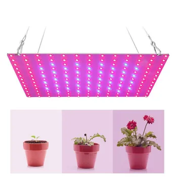 LED Augalų Auga Šviesos Lempa, Rinkinys Phytolamp Patalpų Auginimo Palapines Gėlių Augimui Apšvietimo Visą Spektrą Hydroponics Daržovių Apšvietimo U2