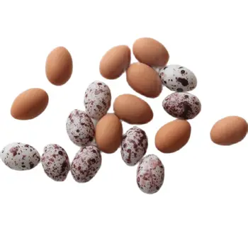Miniatiūriniai Dervos 3D Mielas Kiaušiniai, Putpelių Kiaušinių, Balandžiai Kiaušinių Mini Paukščių Kiaušinių Micro Kraštovaizdžio Lėlės Namas