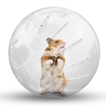 Plastikiniai Risčia Kamuolys Mini Pet Žiurkėnas Naudotis Nešiojamų Veikia Grounder Žaisti Kamuolys, Žiurkės, Pelės Mankštintis, Žaisti, Laipioti Žaislas